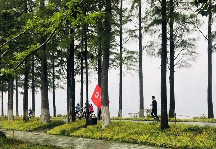 抖圈 - (中国区)抖圈为赌而生