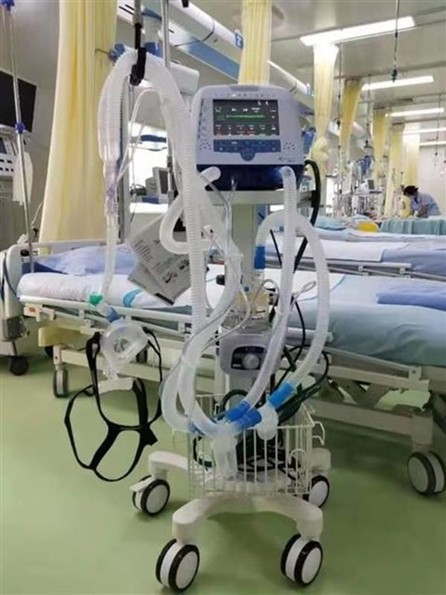 抖圈 - (中国区)抖圈为赌而生