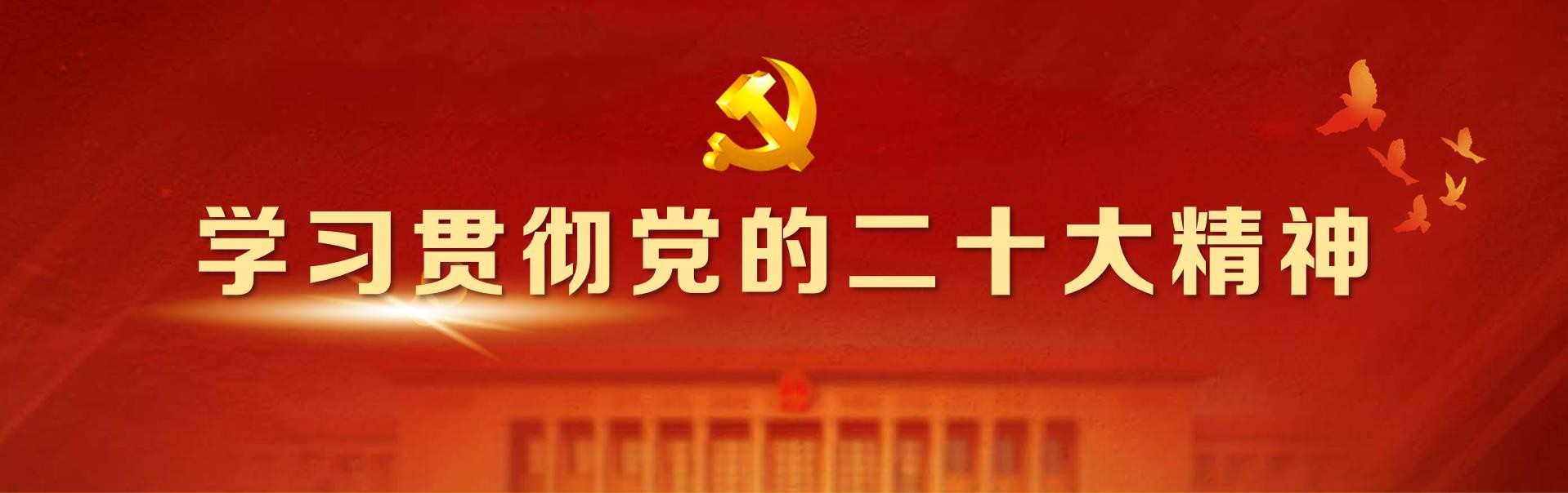 抖圈 - (中国区)抖圈为赌而生
